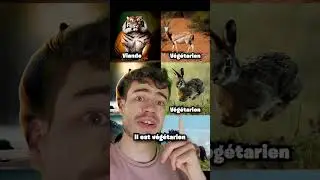 Les animaux carnivores sont obèses 🥩