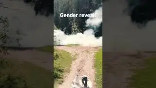Tannerite gender reveal!