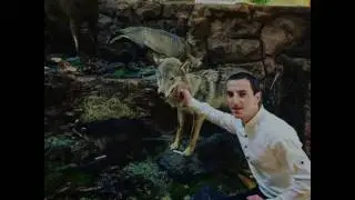 Усман нашид на русском языке (Гр Салатавия) (Новинка 2017)