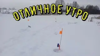 НА НОЧЬ РАССТАВИЛ ЖЕРЛИЦЫ И УТРОМ БЫЛ В ШОКЕ. рыбалка на щуку