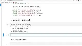 Argv in Jupyter Notebook