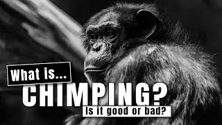 What is chimping?  Is chimping good or bad?  5 reasons to chimp or not.