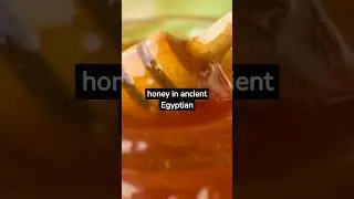 Do You Know ? Why Honey Never Spoils 