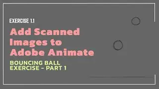 Add Scanned Images into Adobe Animate