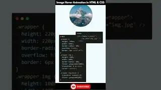 Image Hover Animation in HTML & CSS | Best Hover Animation