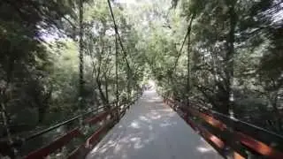 Кишинев , Я люблю тебя ! Chisinau , I love you!