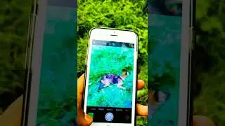 i phone 6s camera review 😮||#shoets #shortvideo