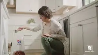 Благотворительная программа #НовыйДругНавсегда совместно с фондами «РЭЙ» и «Подбери Друга»