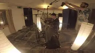 Bird Ridiculed - Guzheng/Zither