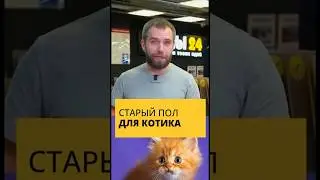 Делаем домик для котика из старого пола😍🏚️🐈