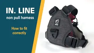 IN . LINE non pull harness | Fitting guide | BAUMUTT