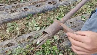 Приспособа для удаления старых кустов клубники.