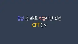 미국 취업시장 현황과 OPT 비자