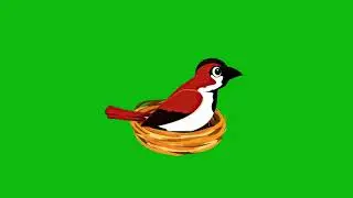 Sparrow Bird Green Screen/Bird Green Screen/Flying Bird Green Screen/Cartoon Bird/Free No Copyright