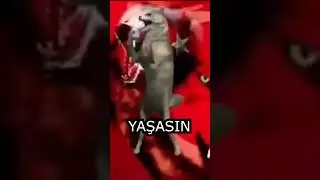 FORTNITE DA KURTLAR DANS EDERSE
