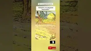 головоломка с ответом, найдёте на рисунке лицо охотника?