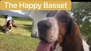 Watch This Video If You Are Depressed