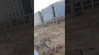 Madeena munavvara || Jannatul Baqi || Masha allah