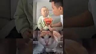 Get Ready to Laugh 9 😂 😆#shorts #youtubeshorts  #memes #viral