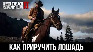 КАК СДЕЛАТЬ ЛОШАДЬ СВОЕЙ? - Red Dead Redemption 2.