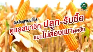 ไม่เขา ไม่เผา เราทำได้ EP 6