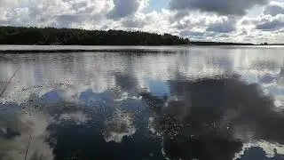 Обычные истории! Озеро Коробожа Мошенского района Новгородской области.
