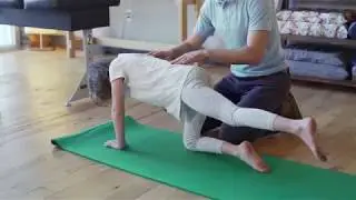 Bird Dog Exercise