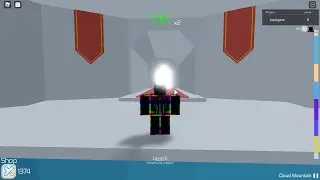[Tower Of Hell]Playing In Private Server But Dead All The Time!