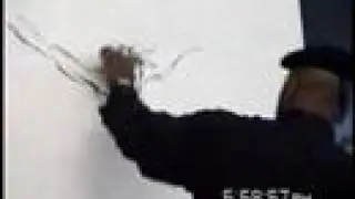 World Fastest Speed Drawing by D. Westry