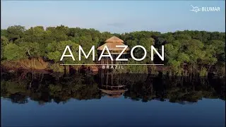 Amazon Blumar