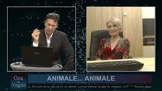 Ora de veghe ~ Animale...animale