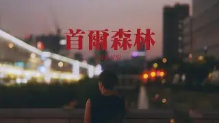 배우 임휘진 프로필 영상, 서울삼림 (首爾森林)