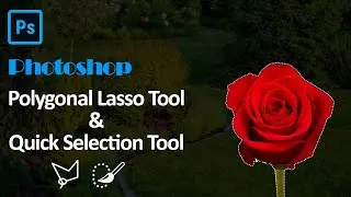 How to make Selection With Polygonal & Quick Selection Tool in Photoshop cc