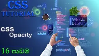 CSS Opacity | Web Design Full Course | CSS Video Series Sinhala | #16