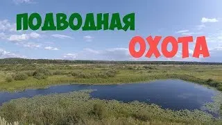 Подводная Охота 2019\Дары Таинственного Водоёма