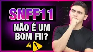 SNFF11 VALE A PENA? Análise completa relatório mensal!!