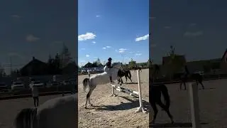 #equestrian