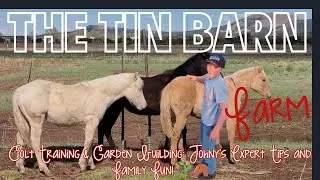 Colt Training & Garden Building: Johny's Expert Tips and Family Fun! 🌱🐴