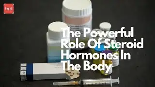 The Powerful Role Of Steroid Hormones In The Body #steroidhormones #youtube #trell