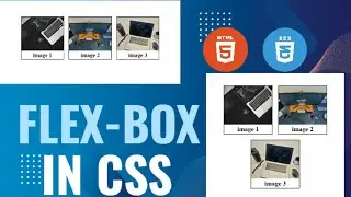 Flex Box In Css html css