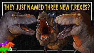 Did T. rex Just Get Split In Three? – New Tyrannosaurus Species | Tyrant Files