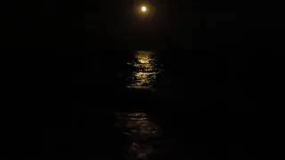 Ночное море и полная луна, Затока.