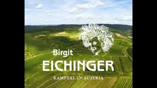 Birgit Eichinger, Strass, Kamptal, AUSTRIA. VINEYARDS AND DRONE