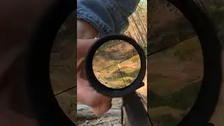 Что такое загонный прицел? #short #shorts