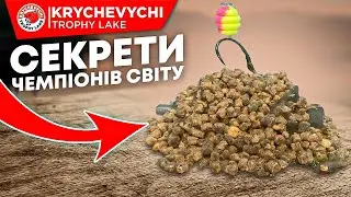 FLAT-FEEDER! Even the crucian carp DOESN'T BITE like that! Carp Fishing 2023 on flat - cool fishing