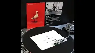 Ginger Root - Le Chateau (Vinyl Postcard)