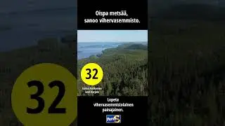 Sanna Antikainen perussuomalaiset (32)