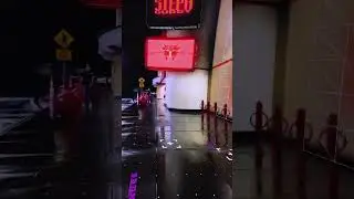 Stepping into the future