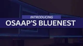 BlueNest Overview