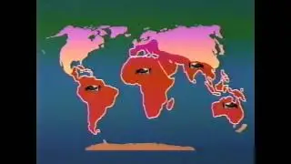 A Day of Fun At The Zoo - On Screen Graphics